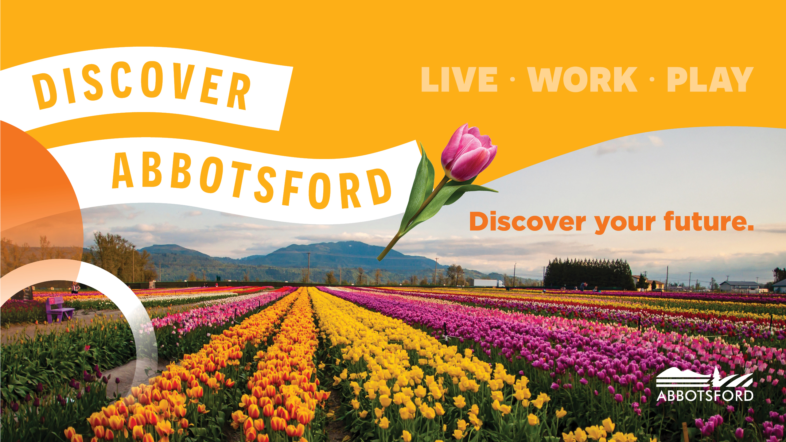 Graphic showing a vibrant tulip field with mountains in the background and text promoting Abbotsford