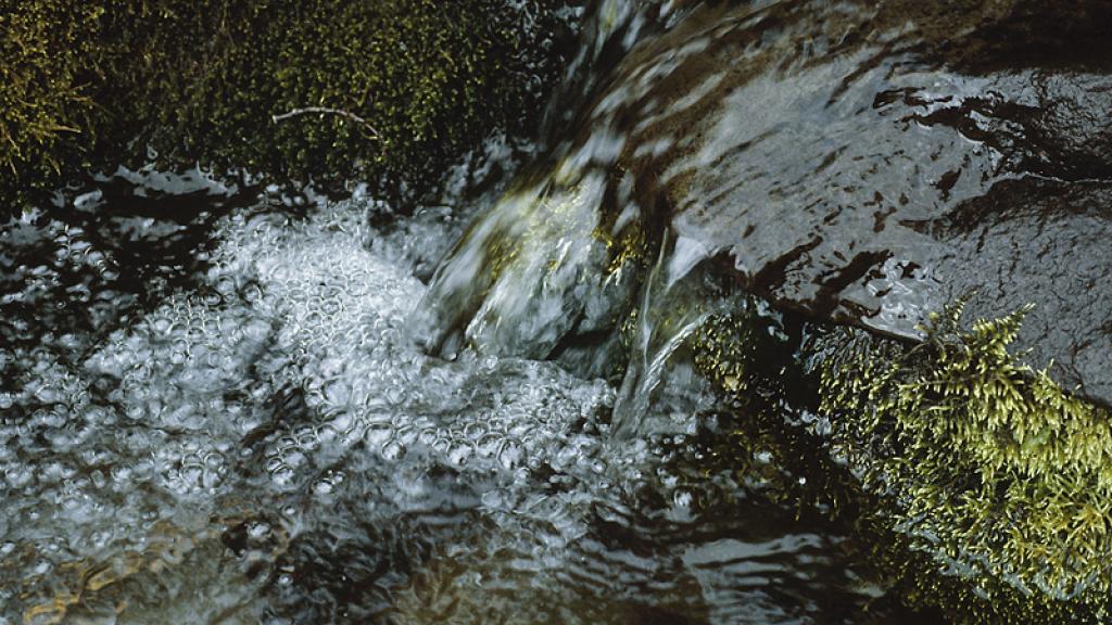 water running over a rock in a stream