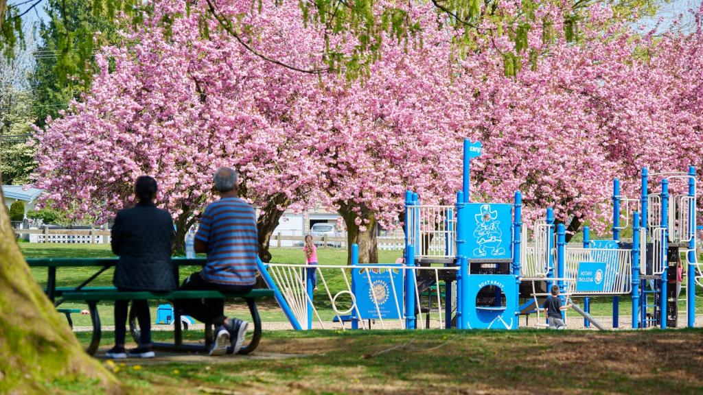 Springtime is the perfect time to enjoy our parks and playgrounds.