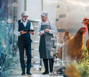 Composite image of industrial machinery, food processing workers in lab coats, and free-range chickens in a grassy field.