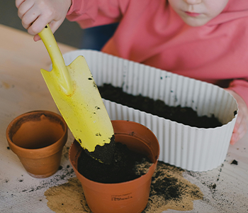 stock image of child adding dirt to plotted plant