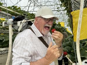 Councillor Barkman enjoyed a fresh strawberry in the Maan Farms greenhouse.