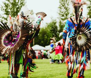 Indigenous performers